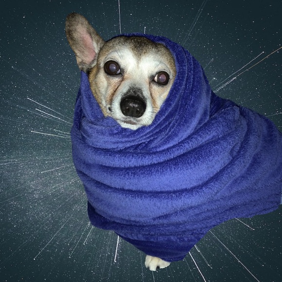 Welcome To My Closet πβ¨πΆ - Picture 3 of 5